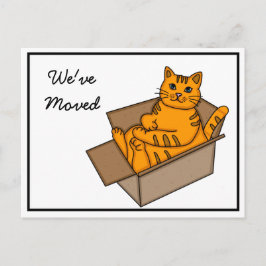 Cartão Postal De Anúncio Gato em uma Caixa "Estamos nos Mudando" Novo Ender