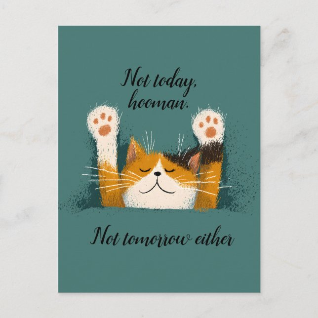 Cartão Postal De Anúncio Gato Fofo e Divertido Dormindo (Frente)