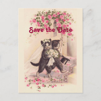 Cartão Postal De Anúncio Gatos do casamento vintage Salve o Cartão-Postal d