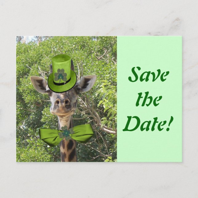 Cartão Postal De Anúncio Girafa Sortuda (Frente)
