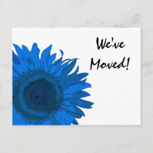 Cartão Postal De Anúncio Girassol Arte Pop Azul Mudança de Endereço