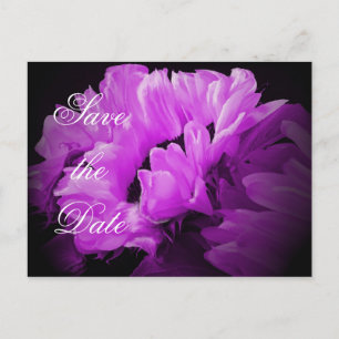 Cartão Postal De Anúncio Girassol Mágico Salvar Cartão-postal