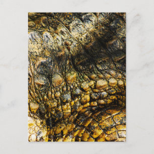 Cartão Postal De Anúncio Golden Crocodile Skin Texture Close Up