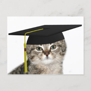 Cartão Postal De Anúncio Graduação do gatinho