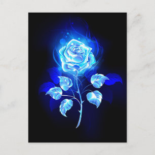 Cartão Postal De Anúncio Gravação de Rosa Azul