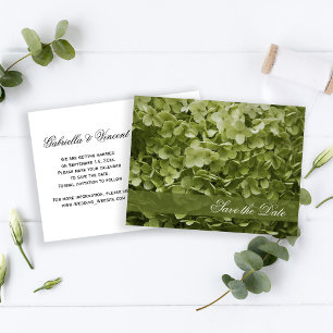 Cartão Postal De Anúncio Green Annabelle Hydrangea Wedding Salvar Data