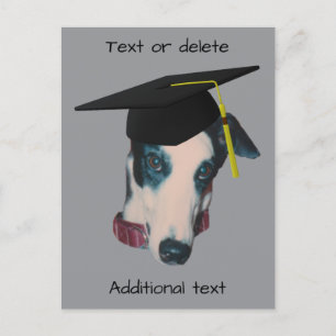 Cartão Postal De Anúncio Greyhound Com Capelo De Formatura Cachorro Engraça