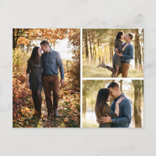 Cartão Postal De Anúncio Guardar A Colagem De Fotografias De Daisy Botânica