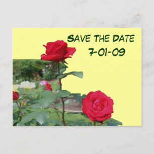 Cartão Postal De Anúncio Guardar O Cartão-Postal De Fotografia De Rosas De