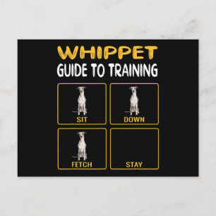 Cartão Postal De Anúncio guia de treinamento de obediência de cães whippet