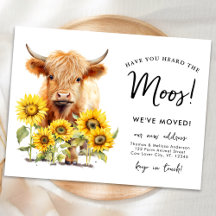 Highland Cow Sunflower Nova Fazenda de Morada em M