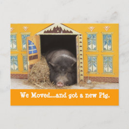 Cartão Postal De Anúncio House e Pig, mudamos novas placas de endereço