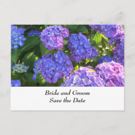 Cartão Postal De Anúncio Hydrangeas de Casamento Azul e Púrpura