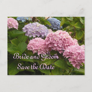 Cartão Postal De Anúncio Hydrangeas de Casamento Salva a Data