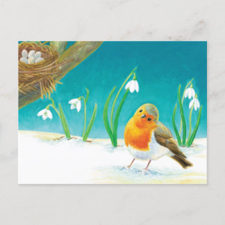 Cartão Postal De Anúncio Ilustração Red Robin