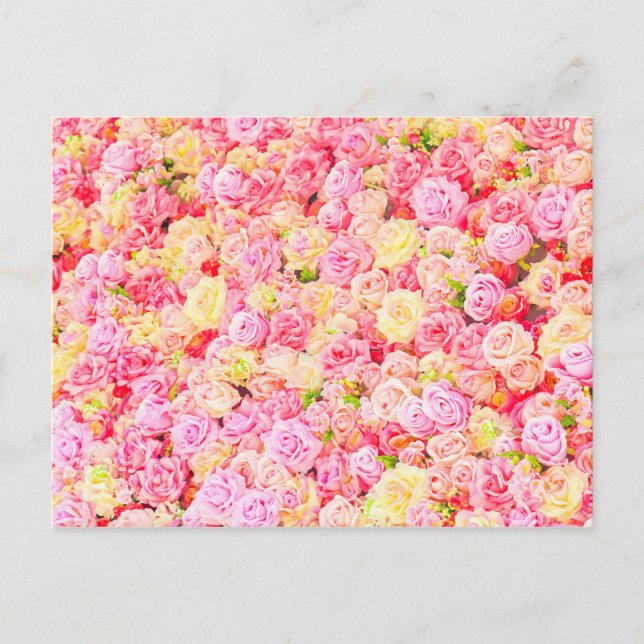 Cartão Postal De Anúncio Jardim de rosas (Frente)