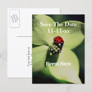Cartão Postal De Anúncio Joaninha no Save The Date da Flor