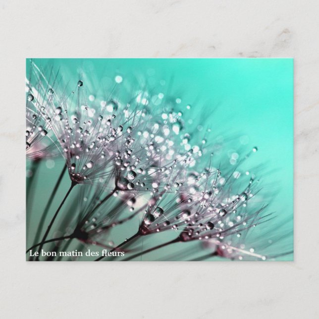 Cartão Postal De Anúncio Le bon matin des fleurs (Frente)