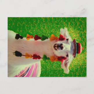 Cartão Postal De Anúncio Lhama em Chiloe-Chile com ornamentos