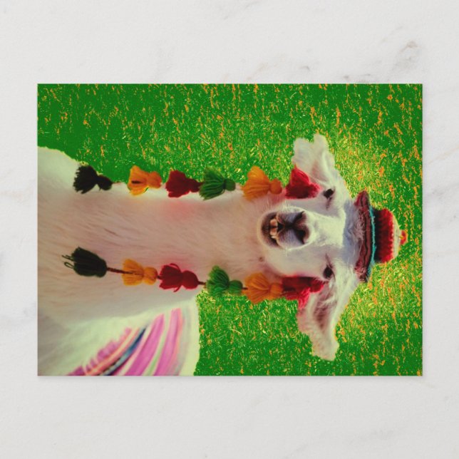 Cartão Postal De Anúncio Lhama em Chiloe-Chile com ornamentos (Frente)