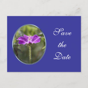Cartão Postal De Anúncio Linda flor de jardim roxa salvar data de casamento