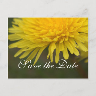 Cartão Postal De Anúncio Lindo dente-de-leão amarelo flor selvagem salvar a