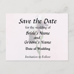 Cartão Postal De Anúncio Lírios Apaixonados