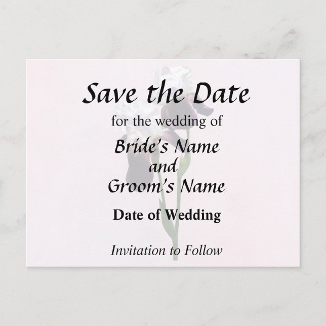 Cartão Postal De Anúncio Lírios Apaixonados (Frente)