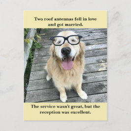 Cartão Postal De Anúncio Meme de Piada de Cachorro Retriever Dourado em Cas