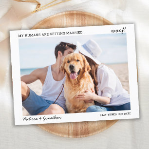 Cartão Postal De Anúncio Meus Humanos Casando Pet Noivado Casamento de Anim