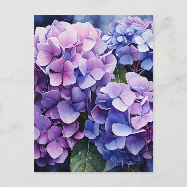 Cartão Postal De Anúncio Midnight Garden Violet Hydrangea Watercolor (Frente)