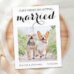 Cartão Postal De Anúncio Modern Pet Photo Engagement Dog Save The Date Anno<br><div class="desc">Let your Best Dog announce your wedding with this super cute 'My Humans Are Getting Married' pet dog save the date cards. Customize with your favorite photo, and personalize with names, date, and wedding location. This dog wedding save the date announcement will be a hit with your family and friends.....</div>