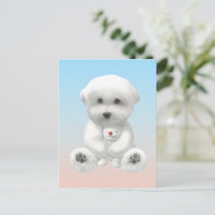 Cartão Postal De Anúncio Momento Aconchegante: Bichon Frise Sorridente Abra