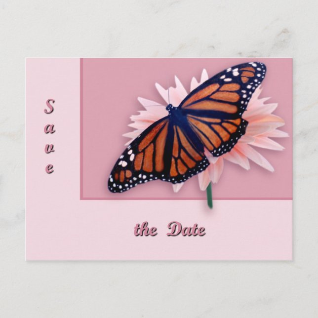 Cartão Postal De Anúncio Monarca (Frente)