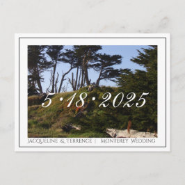 Cartão Postal De Anúncio Monterey Pines Califórnia Salve a Data