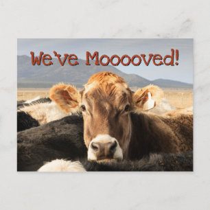 Cartão Postal De Anúncio Movendo