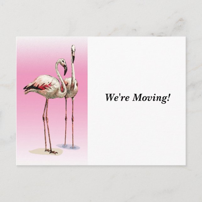 Cartão Postal De Anúncio Movendo - Alterando Casas - Cartão-Postal (Frente)