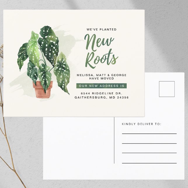 Cartão Postal De Anúncio Movimentamos Novas Raízes Plantadas (We’ve Moved Planted New Roots Moving Announcement Postcard)