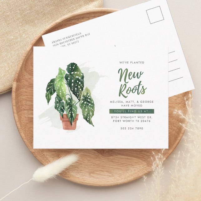 Cartão Postal De Anúncio Mudamos de Endereço Mudança (New Roots Change of Address Watercolor Potted Plant Moving Announcement Postcard)