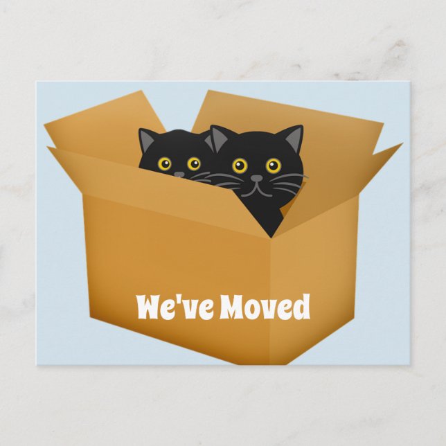 Cartão Postal De Anúncio Mudança do cartão dos gatos de endereço (Frente)