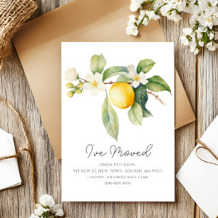 Cartão Postal De Anúncio Mudei de Endereço Flor de Limão Novo Endereço