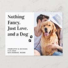Nada De Rico Apenas Amor E Casamento De Cachorro