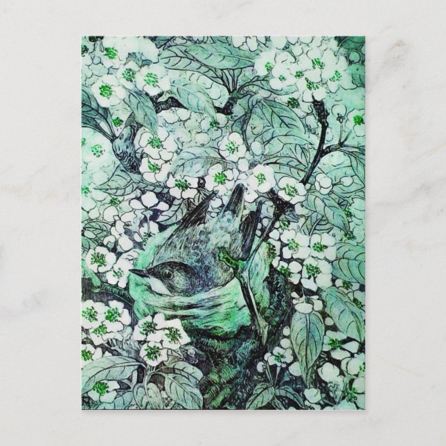 CARTÃO POSTAL DE ANÚNCIO NINHO DE PÁSSARO, ÁRVORE COM FLORES BRANCAS VERDES (Frente)