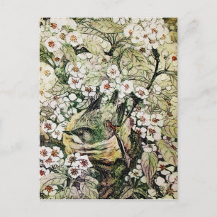 CARTÃO POSTAL DE ANÚNCIO NINHO DE PÁSSARO, ÁRVORE COM FLORES MARROM BRANCO 