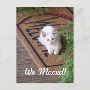 Cartão Postal De Anúncio Nós Mudamos Gatinho Branco