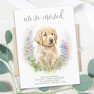 Cartão Postal De Anúncio Nós nos Mudamos Cachorrinho Golden Retriever se Mu