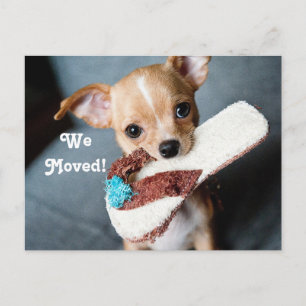 Cartão Postal De Anúncio Nós nos mudamos Chihuahua