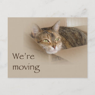 Cartão Postal De Anúncio Notificação de Mudança - Lily