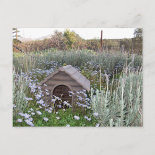 Cartão Postal De Anúncio Nova Casa