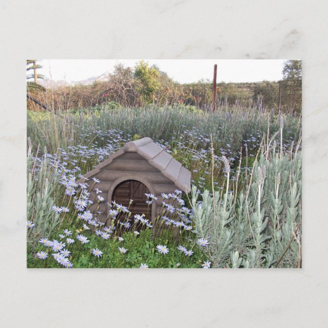 Cartão Postal De Anúncio Nova Casa (Frente)